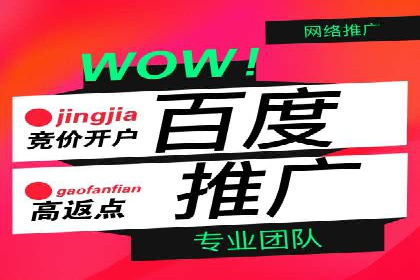 百度竞价行业应用案例：解析及实战操作